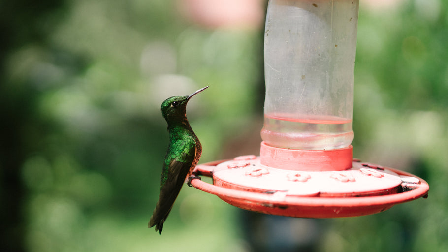 Manifesting and the Power of Intention